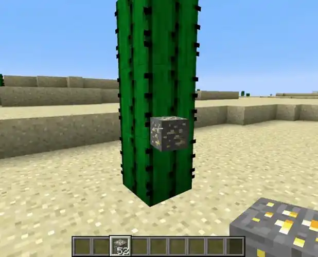 我的世界:mc中玩家必备仙人掌,5种特性最实用,夜晚摆阵能御敌