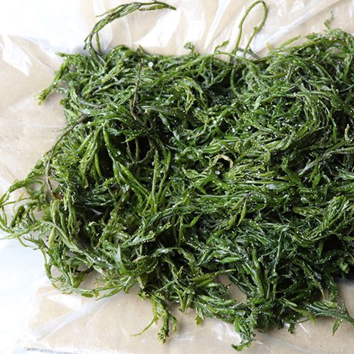 盐渍马尾海藻海草鞭炮裙带菜海白菜凉拌火锅海带