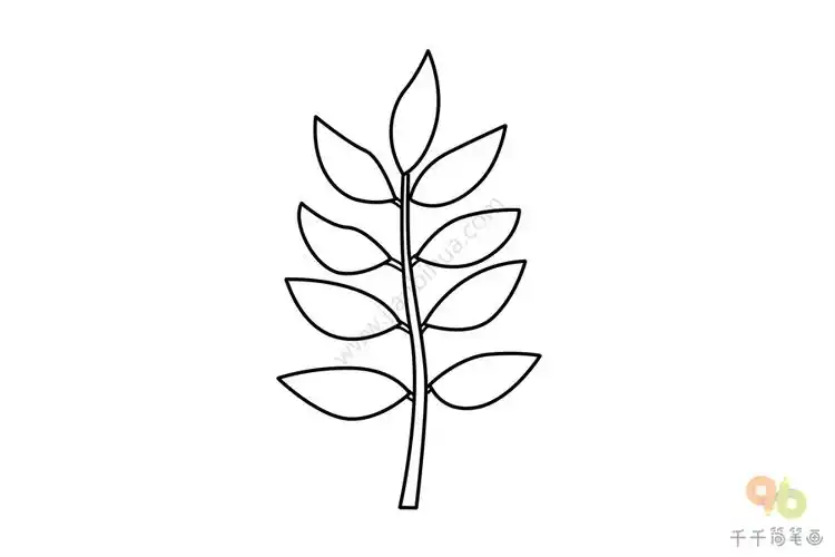 臭椿简笔画画法