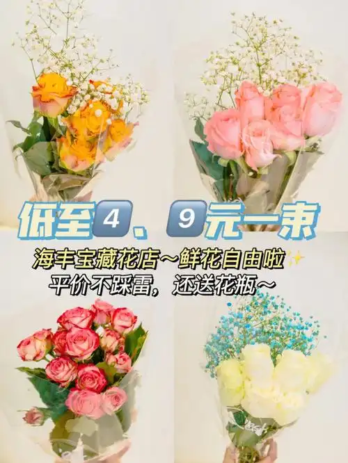 海丰探店平价鲜花店低至49元一束