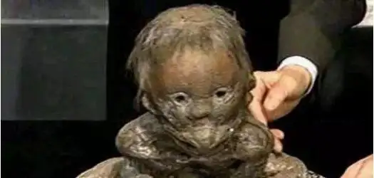 水猴子就是水鬼真的会吃人水猴子水鬼图片太恐怖了3