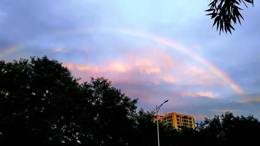 雨后黄昏随拍(手机)