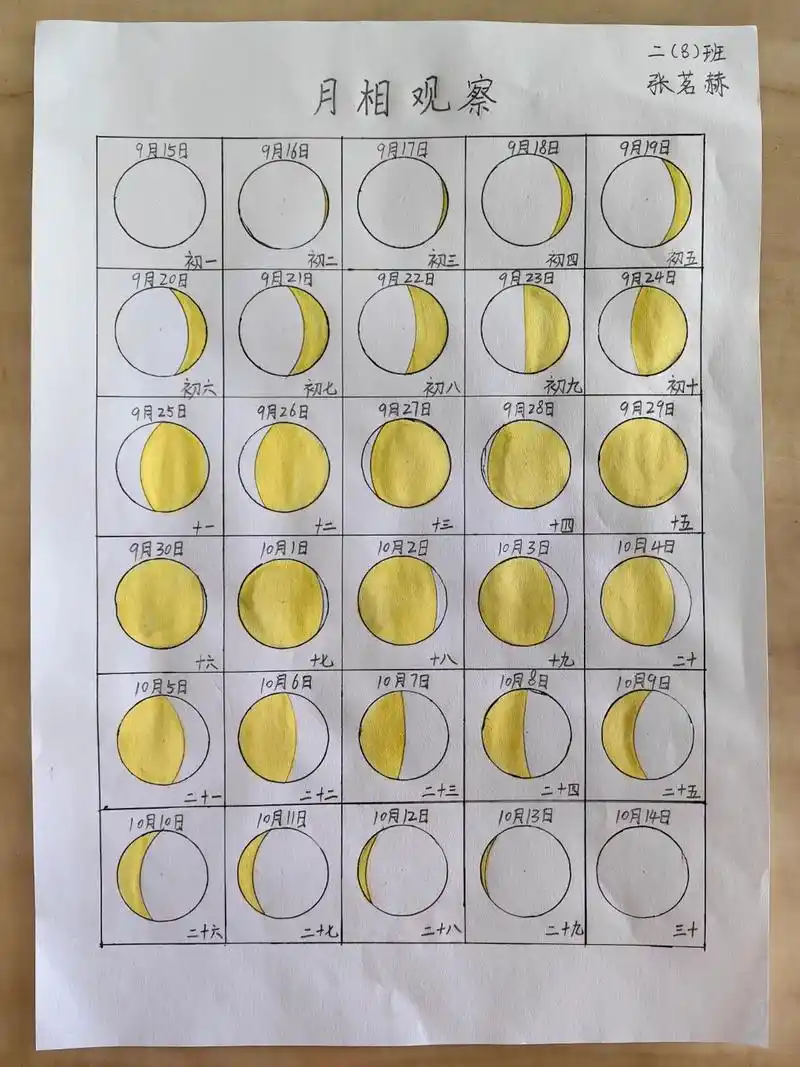 和老大的一天,明天回去和小老二玩#月相变化 #小马过河#爸爸 - 抖音