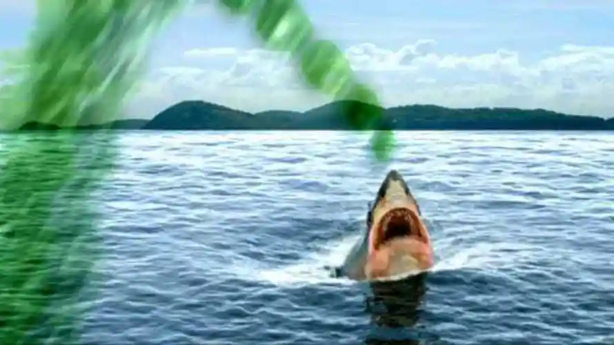 鲨鱼学会喷射丧尸毒液人类被感染马上变丧尸一部动物喜剧电影