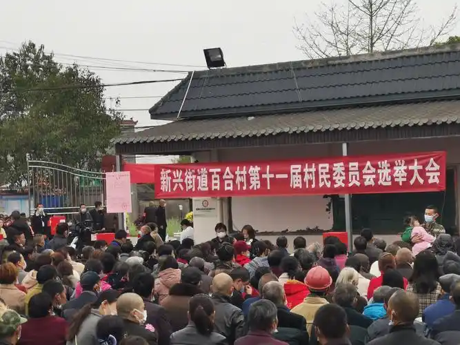 百合村第十一届村民委员会换届选举大会顺利召开