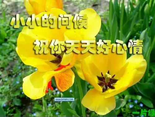 祝天天好心情.jpg