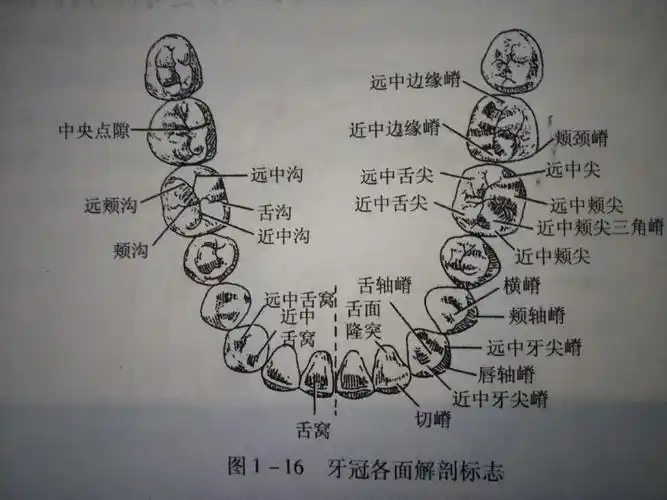 2018-11-16 百会口腔 都是出来混的蛀牙,你凭啥比我贵?_牙齿