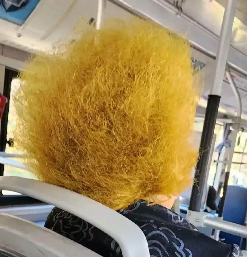 网友:大妈的头发染的真是霸气了 #中国版chatgpt来了# #搞笑趣味图