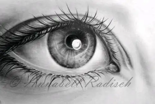 人类大脑纺锤形神经元转录图谱获解析激光显微切割技术