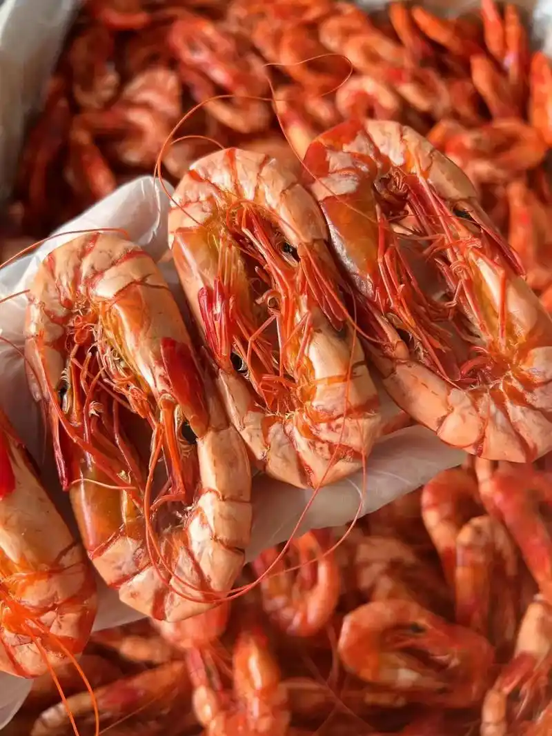 斑节虾.半夜嘴馋来一个[呲牙]  狂吃不胖,巨好吃的↓ 50 - 抖音