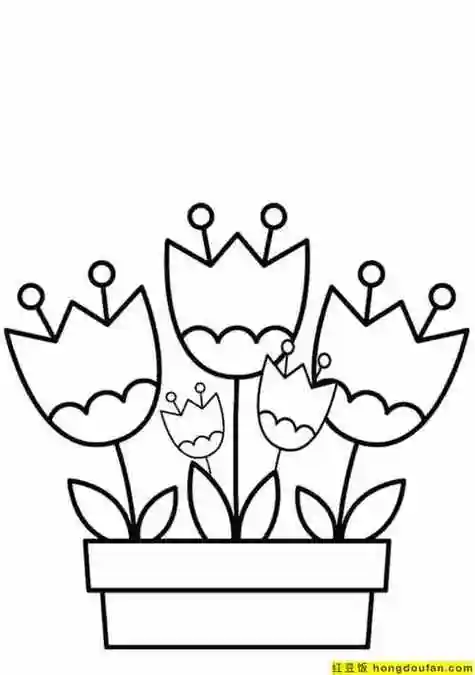简笔画鲜花涂色,鲜花简笔画
