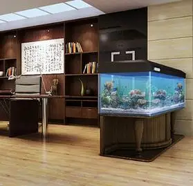 办公室鱼缸摆放位置的风水禁忌及摆放