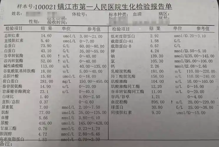 闹心的血清淀粉酶