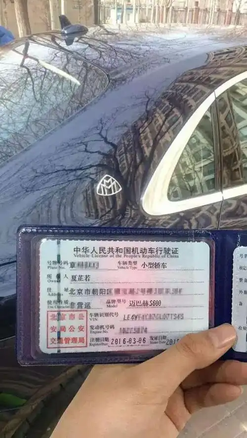 豪车提车驾驶证生成器,小伙你太有才了