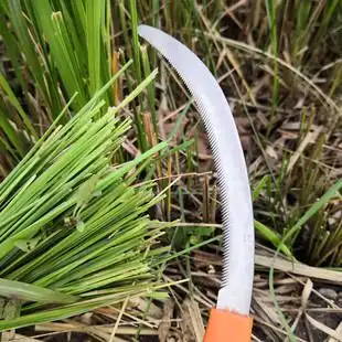 割韭菜专用刀小镰刀割草刀割菜镰刀农用全钢禾镰信得利刀锯齿镰刀