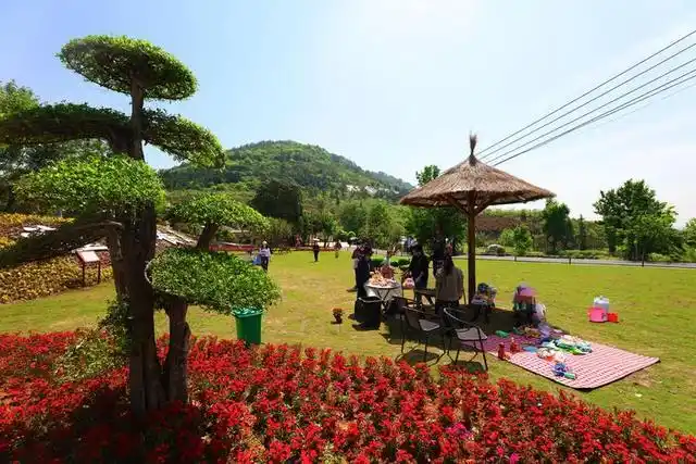 乡村旅游是利用农村自然景观和人文景观,提供乡村休闲度假活动的一种