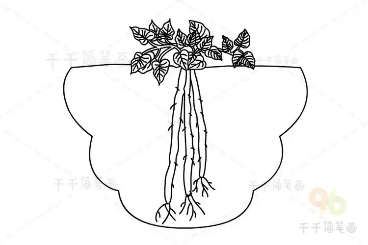 山药简笔画