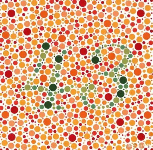 你的朋友是不是色弱,这三张图就可以让他现出原形