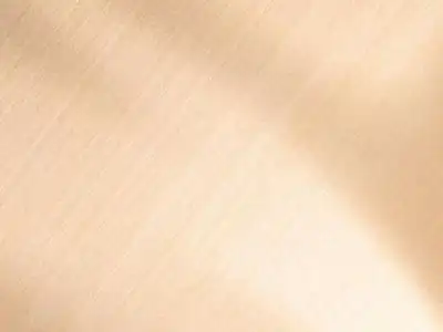 香槟色窗帘贴图