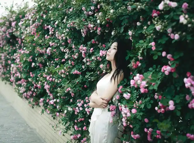 人像蔷薇花的季节