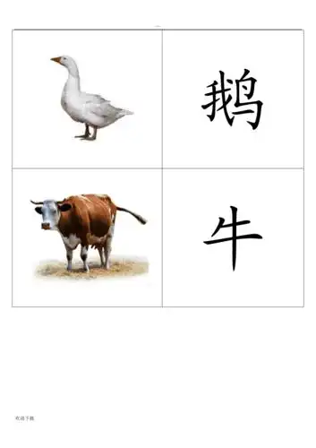 基础动物卡片幼儿识图