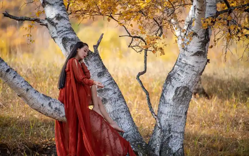 秋的季节,白桦林下! 一外拍人像