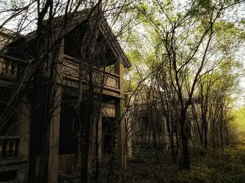 废弃将近二十年的别墅