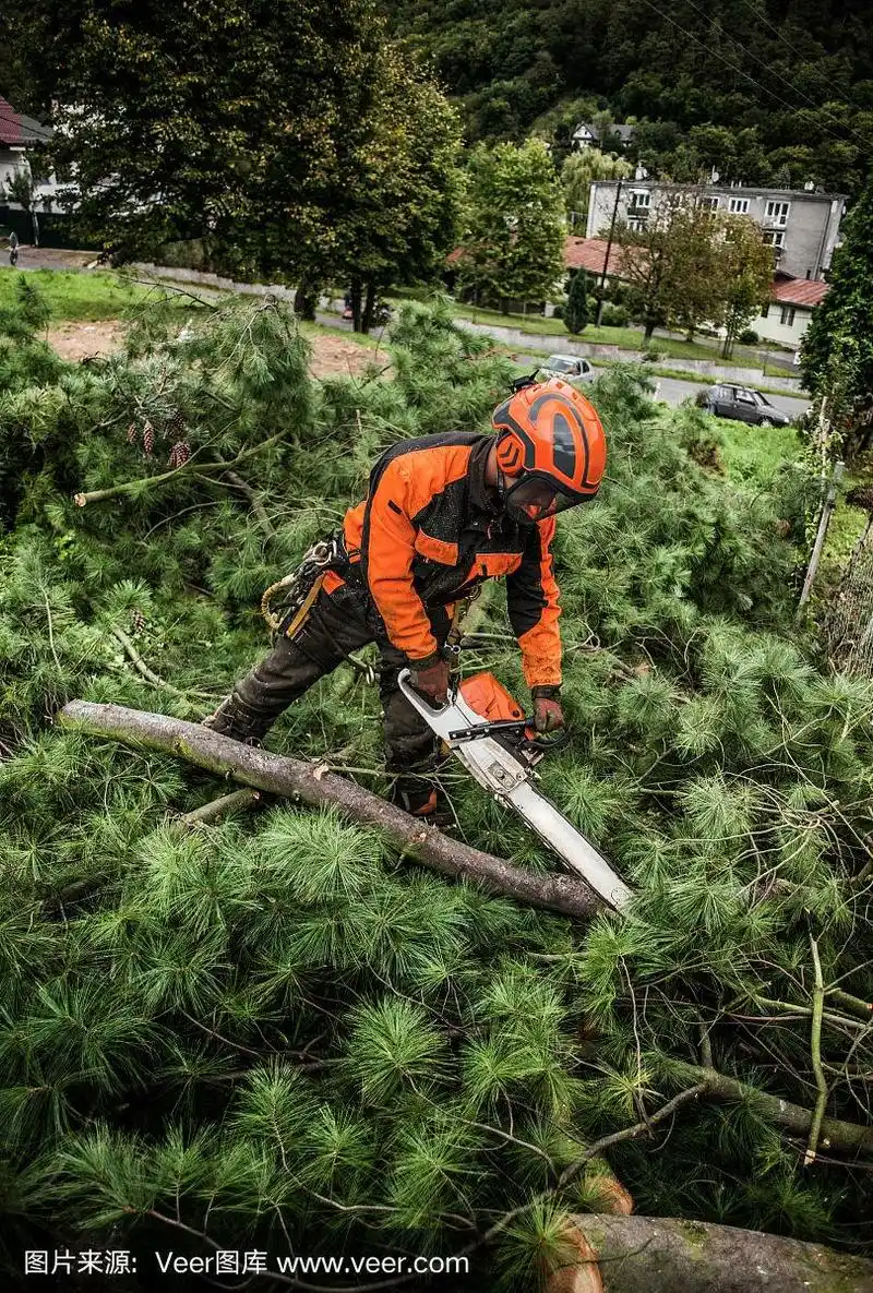 伐木工人用链锯在镇上砍树.
