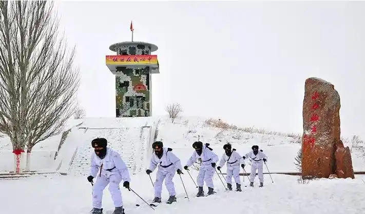 【歌声嘹亮】《小白杨》背后的故事,妈妈身怀六甲,牺牲在边防线上