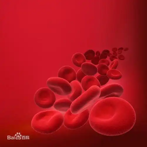 与运输功能相适应,细胞器,细胞核退化,血红蛋白中心凹陷,便于携带氧气