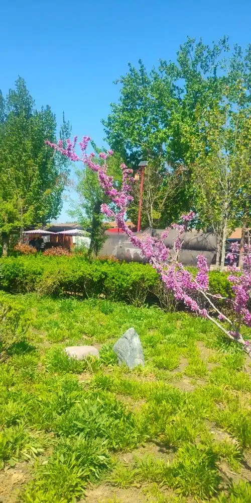 范县毛楼半日游