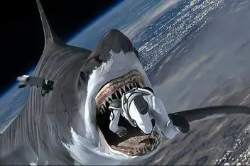 共度晨光20160217美国:上万头鲨鱼齐聚海岸 场面壮观 高清_百度视频