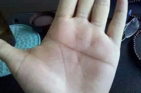 你好你会看吗断掌?