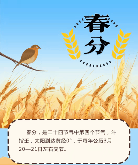 节气里的中国丨春分日趁取春光一半