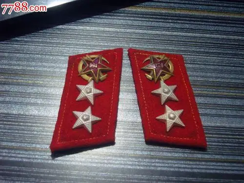 55式合成军上等兵领章