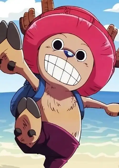 先是进入伟大航路先是遭遇了库洛卡斯,然后找到第一个伙伴也是作为