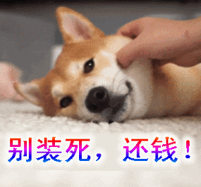 借钱还钱的段子和搞笑动图表情包