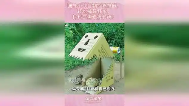 国外小伙自制捉鸡神器,轻松捕获野鸡,材料只需纸板和绳!