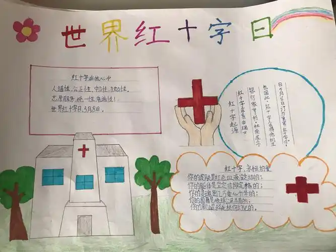 第三小学开展"爱心相伴,救在身边"世界红十字日系列活动