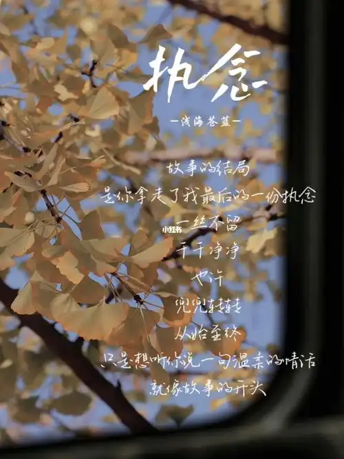 所有的无疾而终不是因为误会不是因为情浅怪我不够