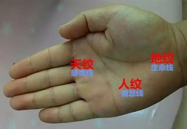 第四,天纹尾端分出三大支线,长短一致,三个大叉一