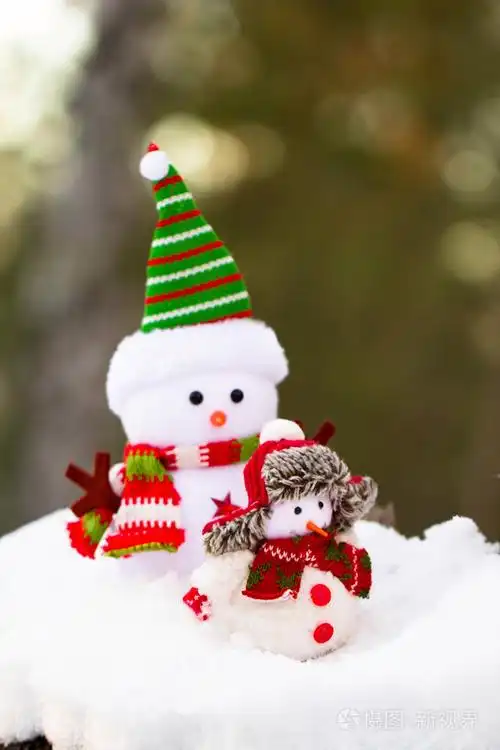 从面料的两个雪人是在雪上