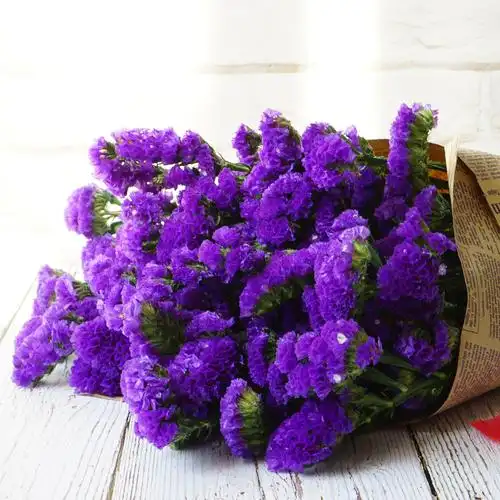 云南干花花束小清新家居摆设装饰勿忘我鲜花长款中秋送礼两件包邮