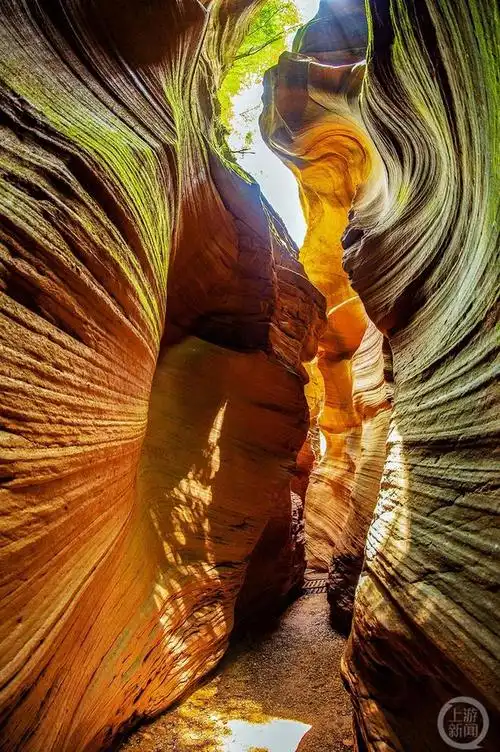 探秘桦树沟 如临幻境的大自然奇观