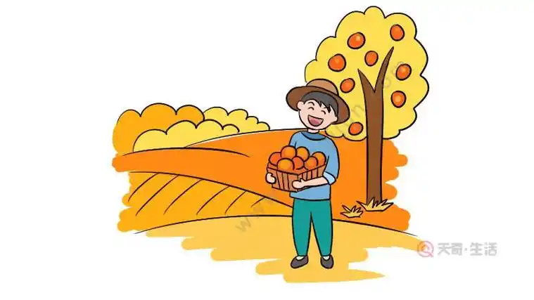 秋天的田野卡通可爱简笔画