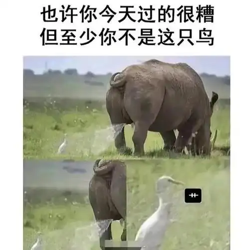 沙雕搞笑图片不开心的时候来看看吧