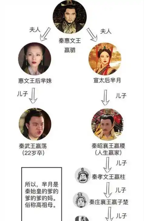 因为芈月是秦国的一代当朝皇后,地位很高,那么她和嬴政到底是什么关系