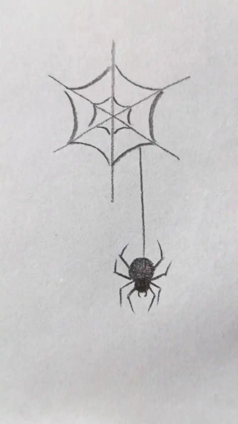 96万圣节,蜘蛛怎么画?简单又好看! - 抖音