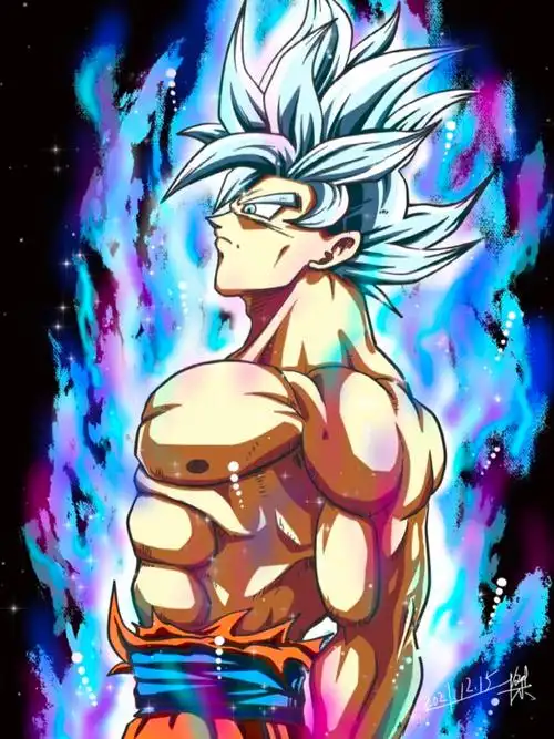 完美自在极意功