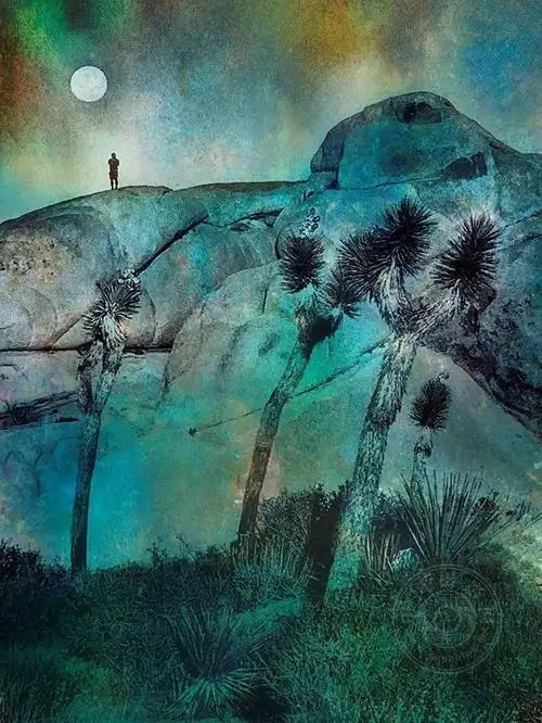 2020第十届手机摄影奖视觉创意组获奖作品赏析